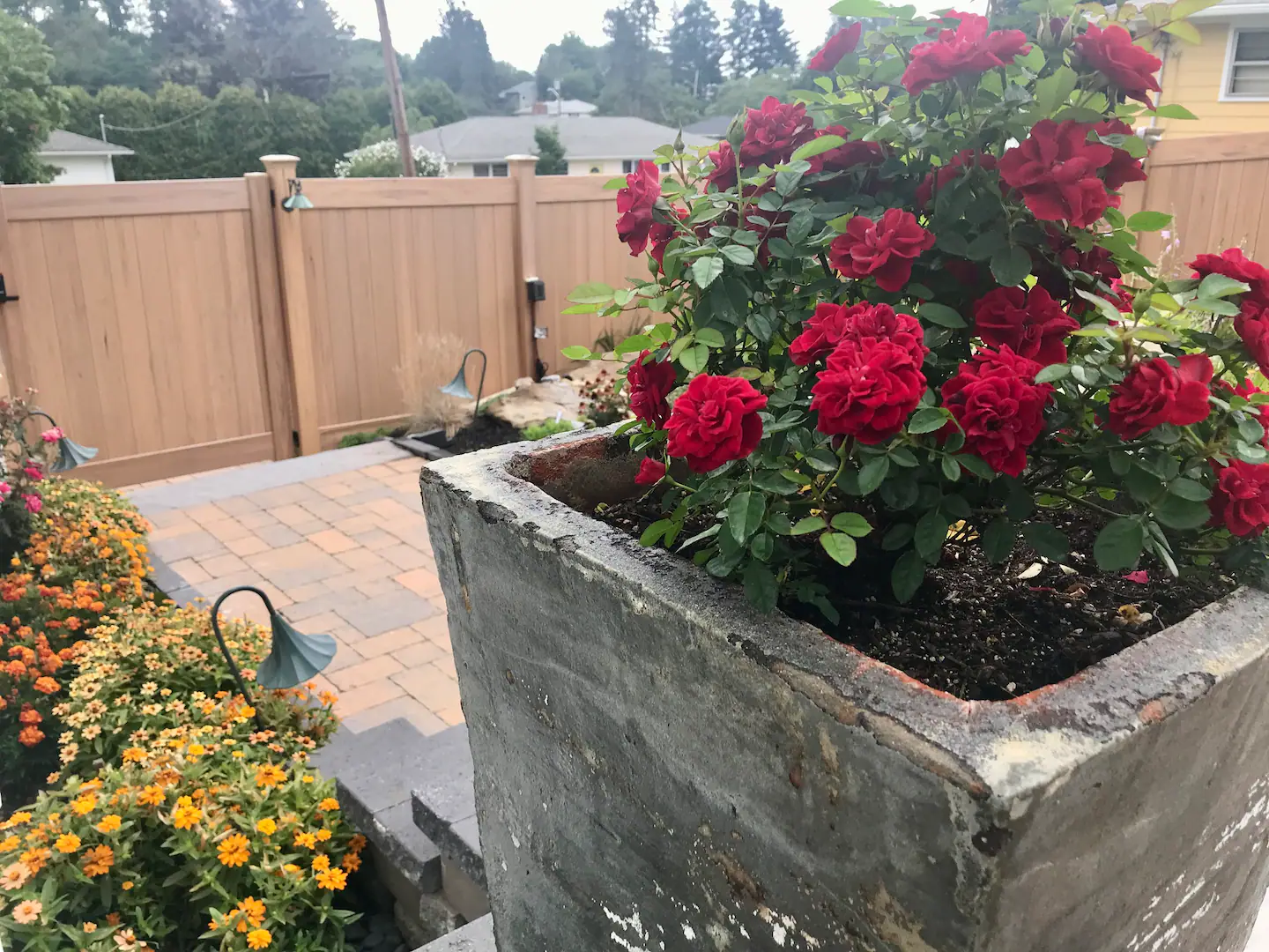 Among the many special backyard features are the stream winding through rocks and the pergola in back; view it from the dining-kitchen-living area bay window overlooking this scene. View of side yard entrance; gate has combination lock for security